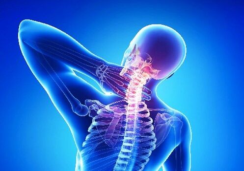 cervical bone